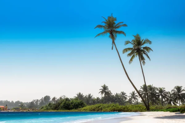 Exotisch Tropisch Strand Met Kokospalmen Blauwe Oceaan Onder Blauwe Hemel — Stockfoto