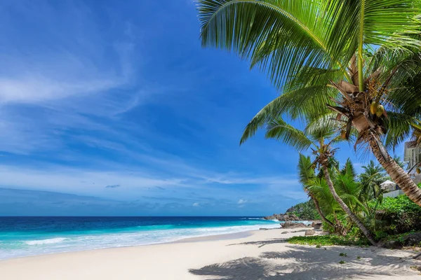 Playa Tropical Playa Soleada Con Palmeras Coco Mar Turquesa Vacaciones — Foto de Stock