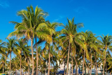 Sabah saatlerinde Miami Plajı, Florida. Ocean Drive 'da gün batımında oteller ve restoranlar. Dünyaca ünlü bir yer..