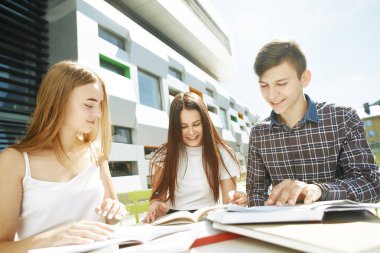 Erkek öğrenci kızlara bir şey izah eder ve deftere yazar. Üç mutlu lise öğrencisinin portresi. Öğrenci arkadaşlar öğrenir, ödevlerini birlikte yapar, vakit geçirir ve eğlenirler..