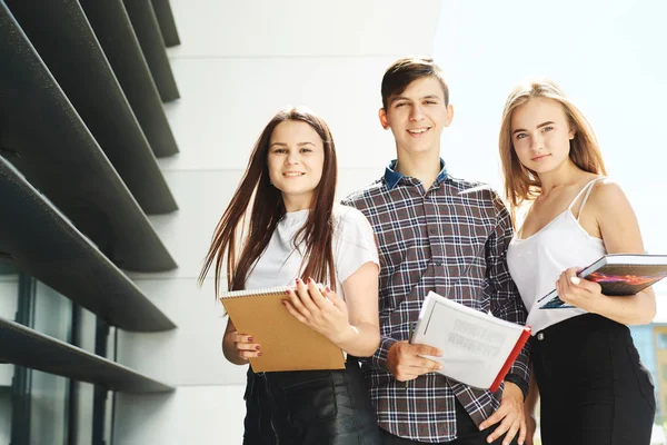 Üç mutlu lise öğrencisi. Öğrenci arkadaşlar öğrenir, ödevlerini birlikte yapar, dışarıda vakit geçirir ve eğlenirler..