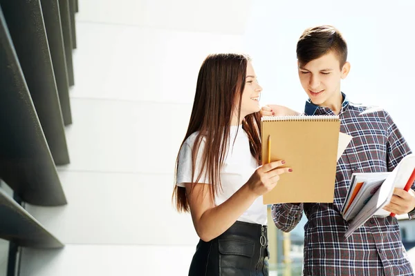 Erkek öğrenci kıza bir şey açıklar ve defterde gösterir. İki mutlu lise öğrencisinin portresi. Öğrenci arkadaşlar öğrenir, ödevlerini birlikte yapar, vakit geçirir ve eğlenirler..
