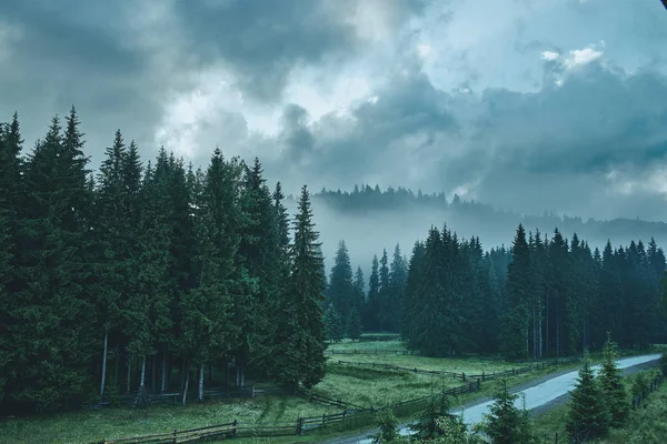 Pohledy Mlhavé Les Hory Krajina Horách Letní Krajina Horách Brzy — Stock fotografie