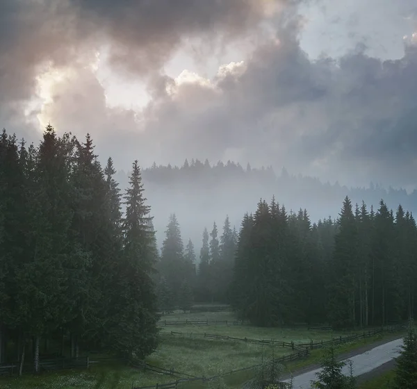 Магія Туманні Лісу Першій Половині Дня Літній Пейзаж Горах Рано — стокове фото