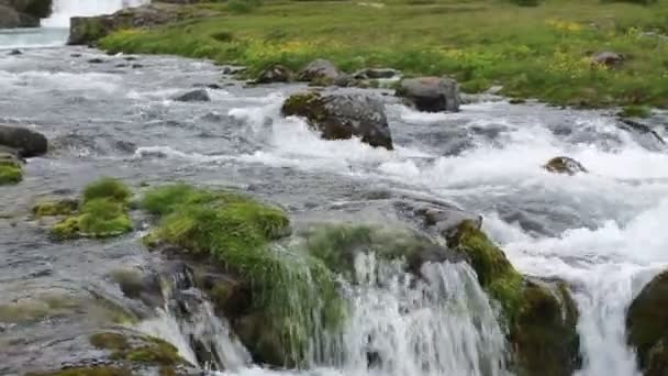 アイスランドの山の川は — ストック動画
