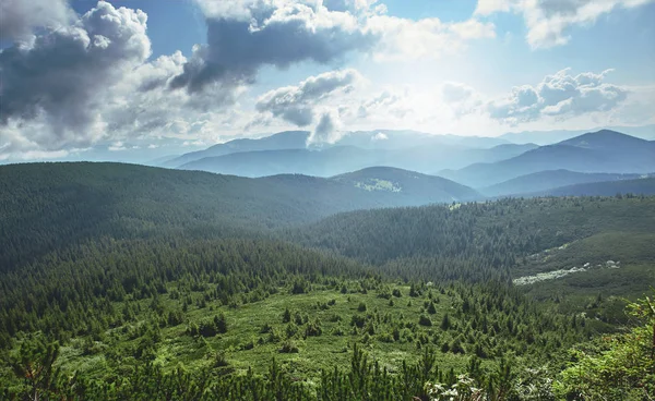 Declive Montanha Arborizada Baixa Nuvem Deitada Com Coníferas Sempre Verdes — Fotografia de Stock