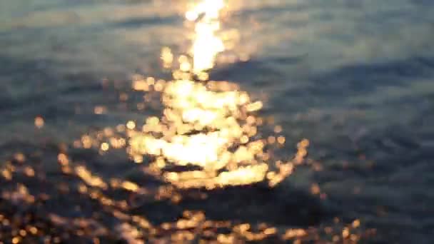 Plaża z spokojne morze i kamyki o wschodzie słońca — Wideo stockowe