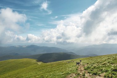 Karpatlar, Ukrayna dağ sırtında iz üzerinde yürüyüşçüler. Yeşil dağ yamacı ve manzara bulutlu mavi gökyüzü