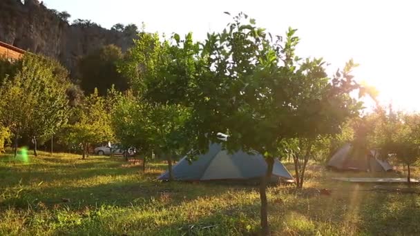 Tendas entre árvores de romã no acampamento — Vídeo de Stock
