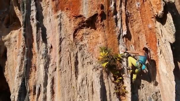 Bergsteigerin klettert auf Klippe — Stockvideo