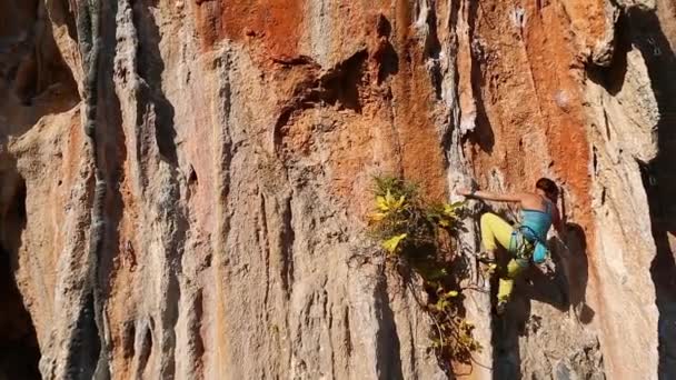 Kvinnlig bergsklättrare klättrar på klippan — Stockvideo