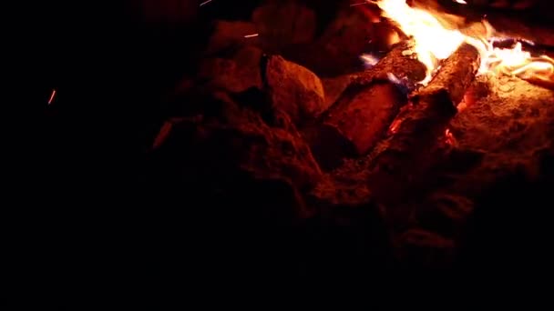 La gente está sentada junto al fuego por la noche — Vídeos de Stock