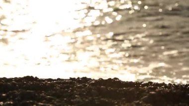 dalgalar sahil çakıl taşları ile rulo