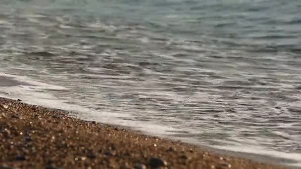 Волны катятся по берегу моря с галькой — стоковое видео