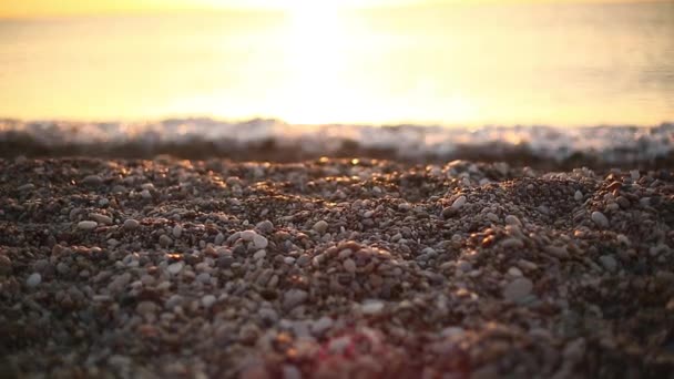 Plaża z kamykami i fale morskie o wschodzie słońca — Wideo stockowe