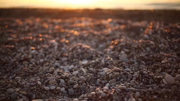 Strand med småsten och havets vågor på sunrise — Stockvideo