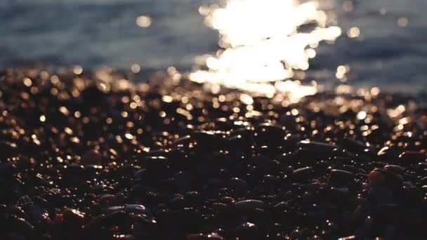 Praia com ondas do mar e seixos ao nascer do sol — Vídeo de Stock