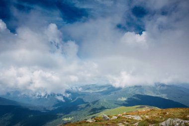 Chornohora dağ sırtı ve güzel bulutlu gökyüzü güzel görünümünü Hoverla dağının yamaçlarında. doğal manzaralı sis kefen herdem yeşil iğne yapraklılar ile düşük yalancı bulut dağ yamacı