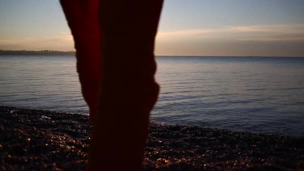 Couple marchant sur la plage de la mer au lever du soleil — Video