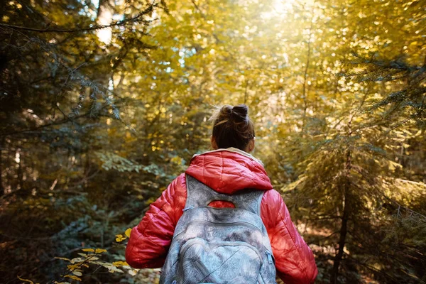 Nainen patikoija punaisessa takissa kävelee syksyllä metsässä — kuvapankkivalokuva