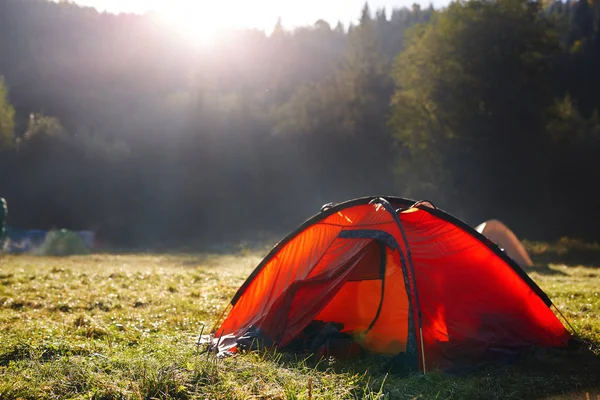 Red tent on a green grass in a pine woods in fall — Stock Photo, Image