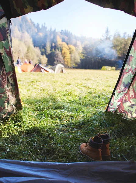 View from the tent in campsite on a tents on a green grass in a pine woods in fall — Stock Photo, Image