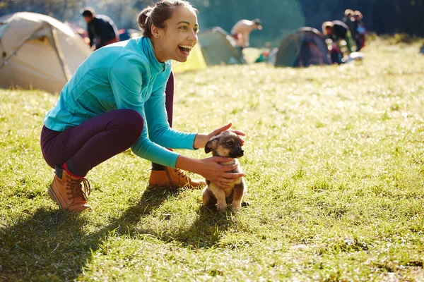 Ung kvinna som leker med en söt liten valp på ett grönt gräs i Camping — Stockfoto