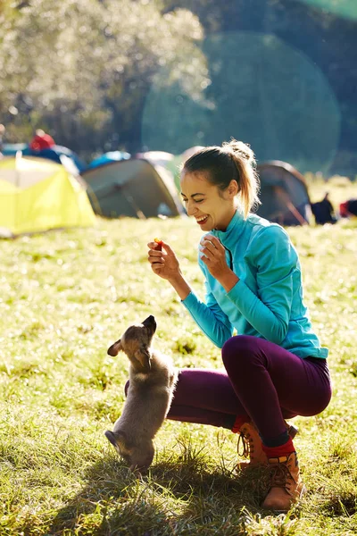 Nuori nainen leikkii söpö pieni pentu vihreä ruoho camping — kuvapankkivalokuva