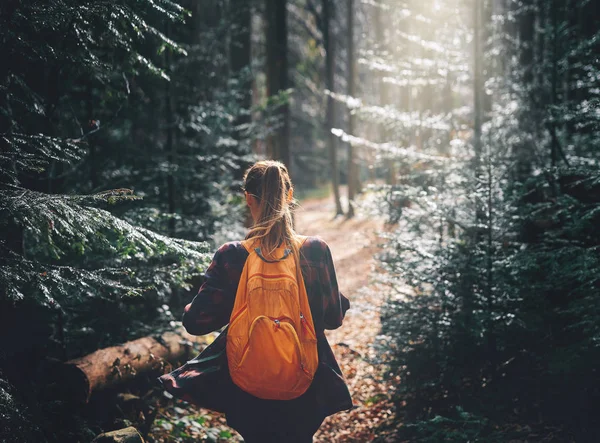 Senderista mujer caminando por el sendero en bosques de pinos —  Fotos de Stock