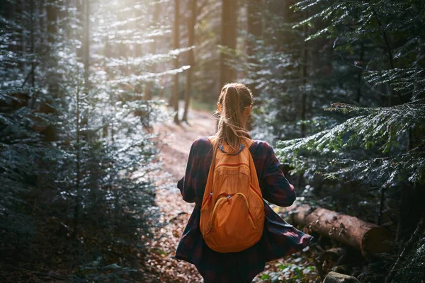 Жінка ходить по стежці в сосновому лісі — стокове фото
