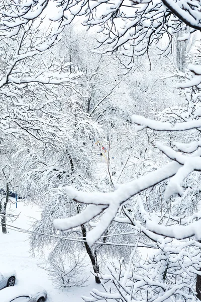 Primeiros Dias Inverno Primeira Neve Cidade Árvores Ruas São Cobertas — Fotografia de Stock