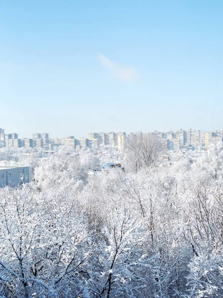 Yumruk Kış Günleri Şehirde Ilk Kar Ağaçlar Sokaklar Taze Karla — Stok fotoğraf