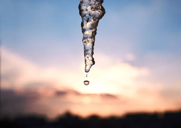 Gran Largo Carámbano Contra Cielo Atardecer Ciudad Cerca Gota Derretida — Foto de Stock