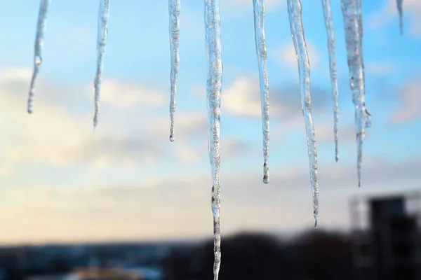 Fila Grandes Icicles Longos Contra Céu Pôr Sol Cidade Icicles — Fotografia de Stock