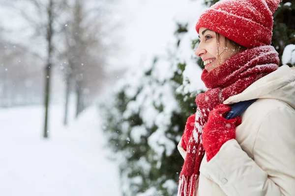 在城市暴风雪过后 穿着白色羽绒服 红色帽子 围巾和手套的欢快微笑妇女 在雪域小巷里用小云杉描绘 复制空间 — 图库照片