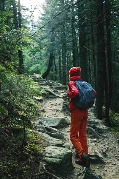 Escursionista donna con zaino, indossando giacca rossa e pantaloni arancioni, passeggiando nel bosco in montagna — Foto Stock
