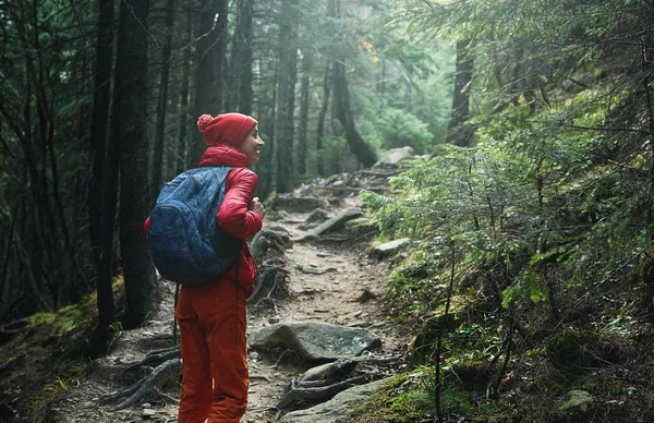 Nainen retkeilijä reppu, yllään punainen takki ja oranssi housut, kävely metsässä vuorilla — kuvapankkivalokuva