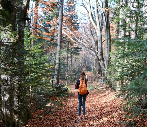 Femme randonneuse marchant sur le sentier dans les pinèdes — Photo