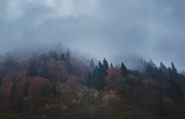 Nádherný Výhled Podzimní Horskou Krajinu Oblačnou Oblohou Západní Ukrajiny Mlžné — Stock fotografie