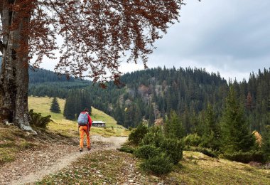 dağlarda açık havada yürüyen sırt çantası ile kadın otostopçu