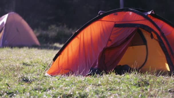 Tente rouge sur une herbe verte dans un bois de pins verts à l'automne au matin brumeux. Week-end d'automne randonnée en forêt avec tentes dans le camping — Video
