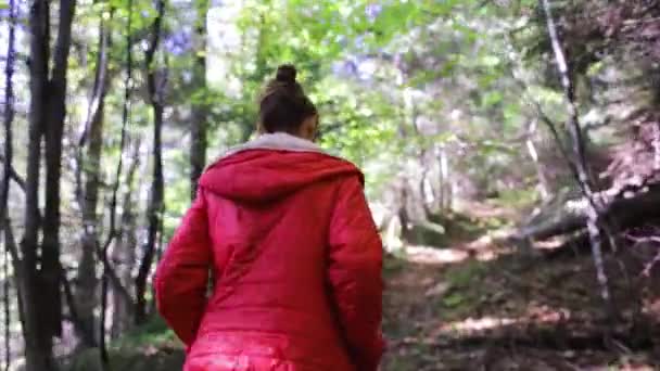 Mujer excursionista en una chaqueta roja sendero para caminar en el bosque de otoño — Vídeos de Stock