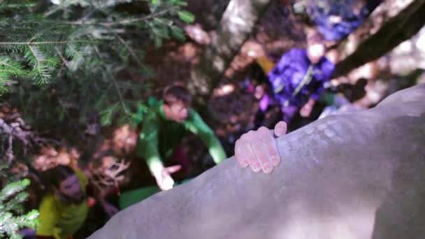Wspinaczka w lesie. wspinacz próbuje wspiąć się na głaz i przyjaciół, aby zapewnić dno. — Wideo stockowe