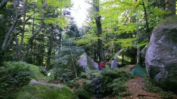 Ζευγάρι ορειβάτες που σκαρφαλώνουν στα βράχια στο δάσος του τοπίου της άγριας φύσης. παλιό βράχο και βρύα καλυμμένα βράχια στο δραματικό μαγικό δάσος — Αρχείο Βίντεο