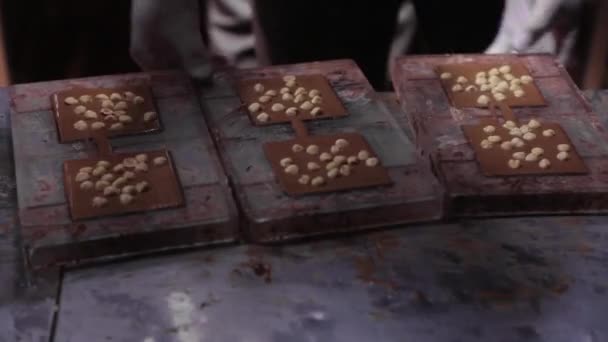 Chocoladefabriek, het proces van het maken van chocolade. vloeibare chocolade gieten in vormen, noten en koeling toevoegen — Stockvideo