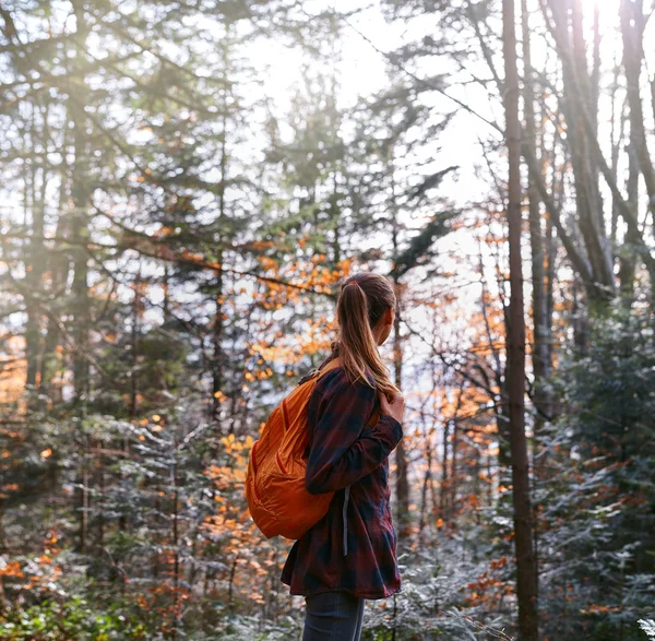 Femme randonneuse marchant sur le sentier dans les bois de pins et regardant loin . — Photo