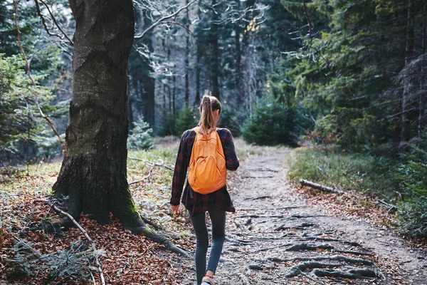 Nainen patikoija kävelee polulla metsässä. Taustakuva . — kuvapankkivalokuva