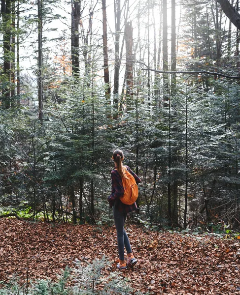 Donna escursionista che cammina sul sentiero in boschi misteriosi. Vista posteriore . — Foto Stock