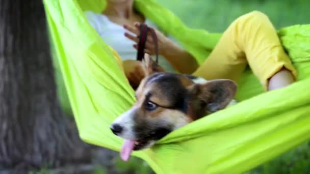 Parkta parlak yeşil hamak yalan sevimli Galler Corgi köpek ile genç güzel gülümseyen kadın — Stok video