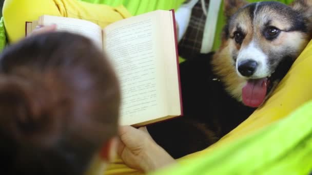 Attraente giovane donna con carino cane Corgi gallese sdraiato in amaca verde brillante nel parco e la lettura di un libro . — Video Stock